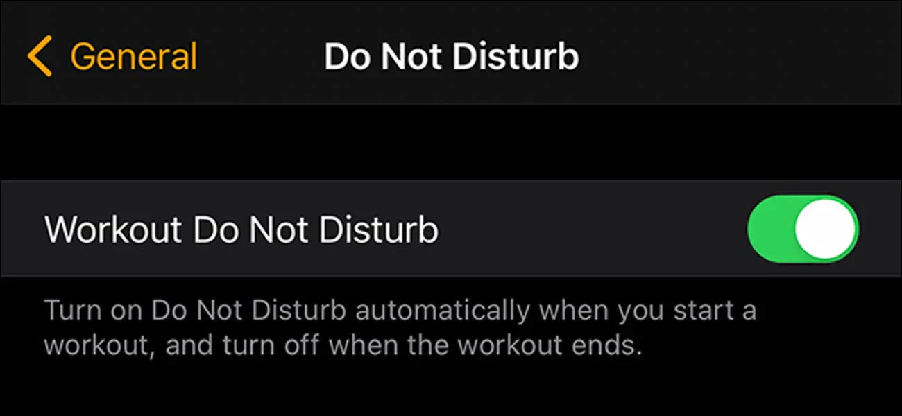 iPhone screen displaying Settings with Workout Focus and Do Not Disturb enabled, helping reduce distractions during exercise