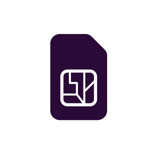 Samsung Galaxy S10 Plus SIM Reader Repair Icon